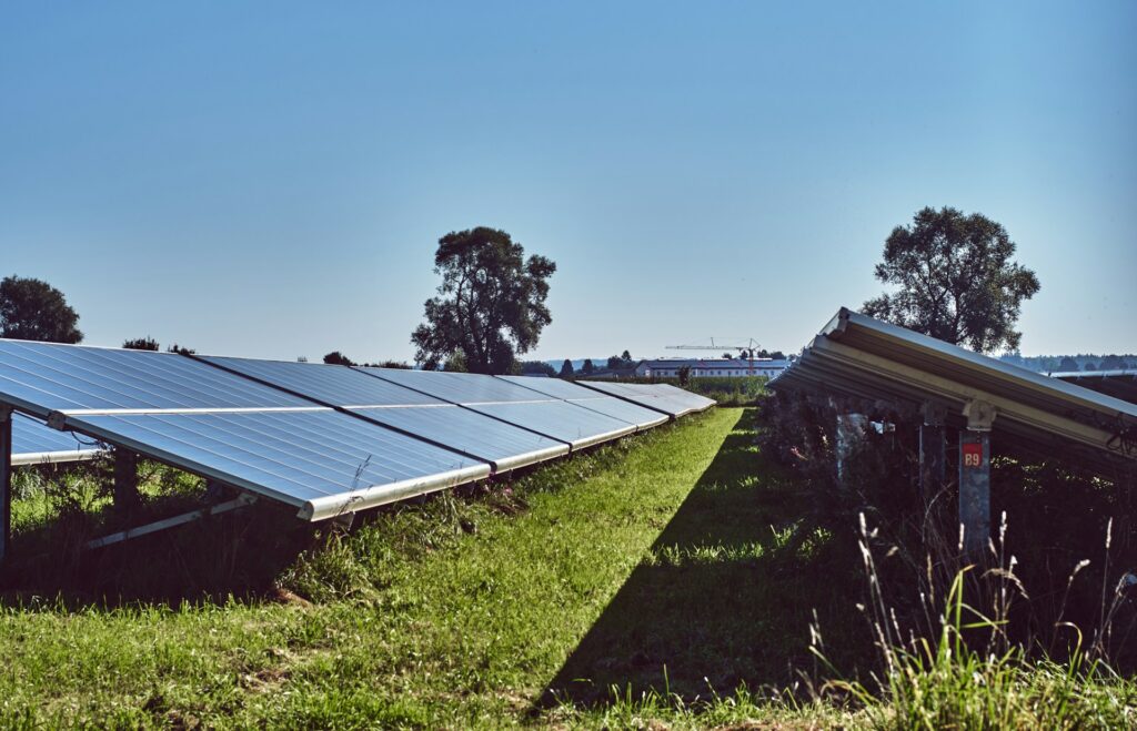 Grande parco fotovoltaico accanto a un bosco.