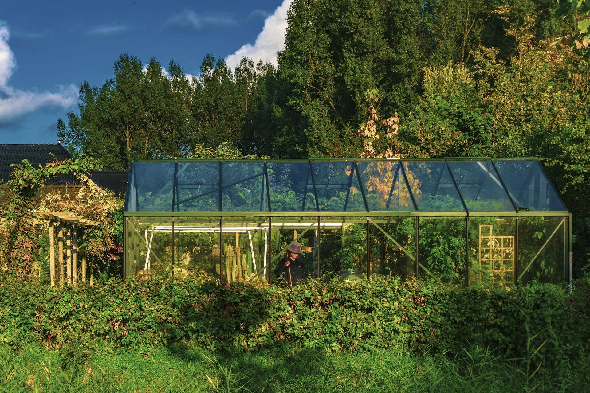 Fotovoltaico organico: La rivoluzione verde del solare di oggi e domani